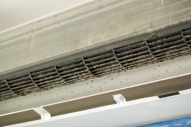 Best Best Air Duct Cleaning Company  in De Soto, KS